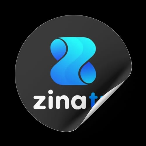 Zina Player 60$ + Card processing Fees ( %2.5 +0.20) $